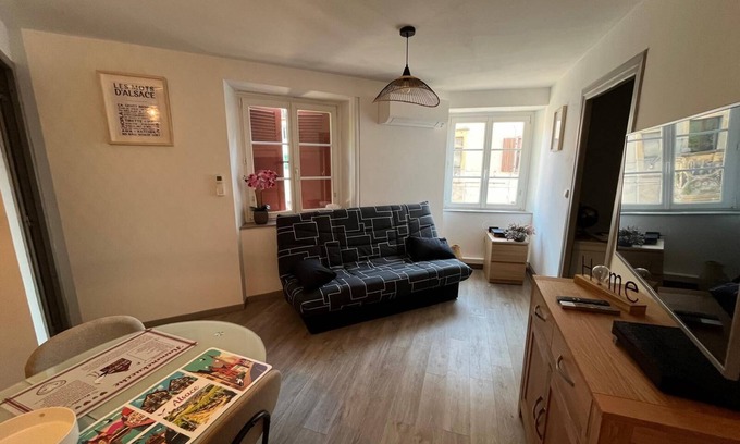 Ensisheim Apartment | La cigogne rêveuse 2 - F2 air-conditioned