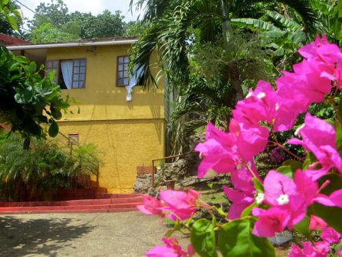 Long Bay Resort | La Familia Guest House and Natural Farm