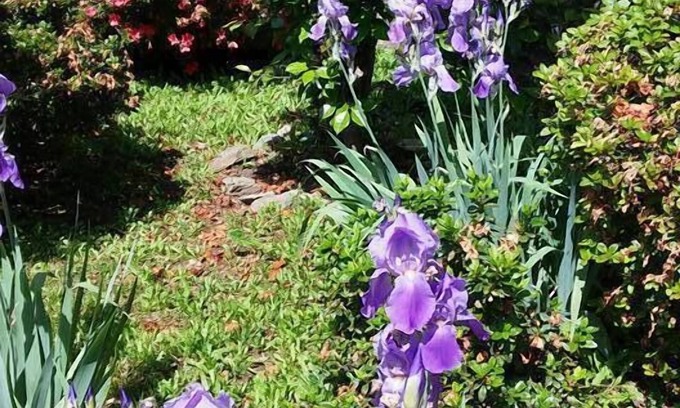 Miasino Bed & Breakfast | La Fattoria del Pino
