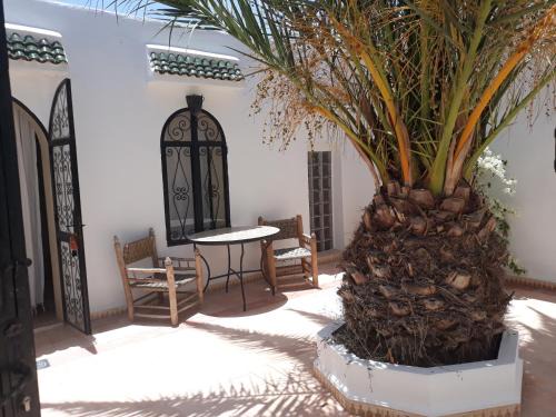 Afrate Haissoun House | la fromagerie essaouira
