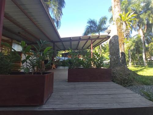 Big Creek Bed & Breakfast | La Luciernaga Big Creek