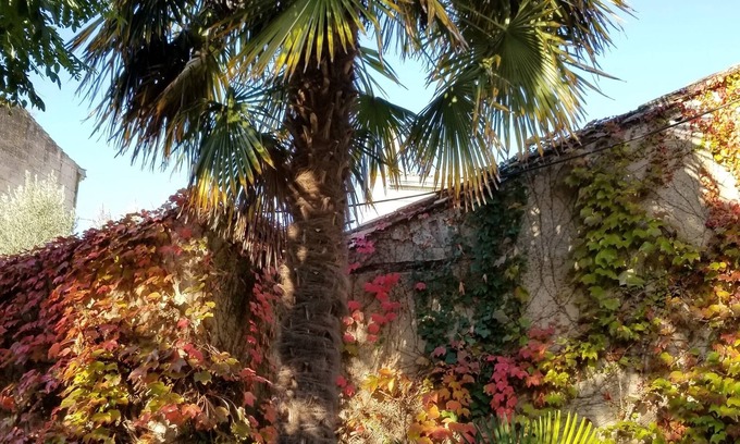 Blaye Bed & Breakfast | La Maison Blanche