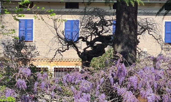 Albinea Apartment | La Maison Deux, an old farmhouse from the late 18th century, with Provençal features.