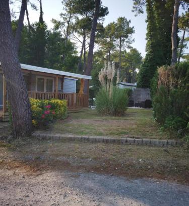 Camiers Other | La Margotine