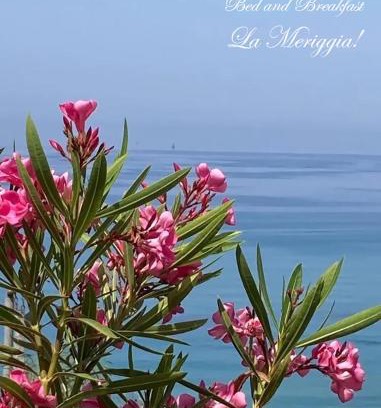 Marina di Pisciotta Bed & Breakfast | La Meriggia B&B