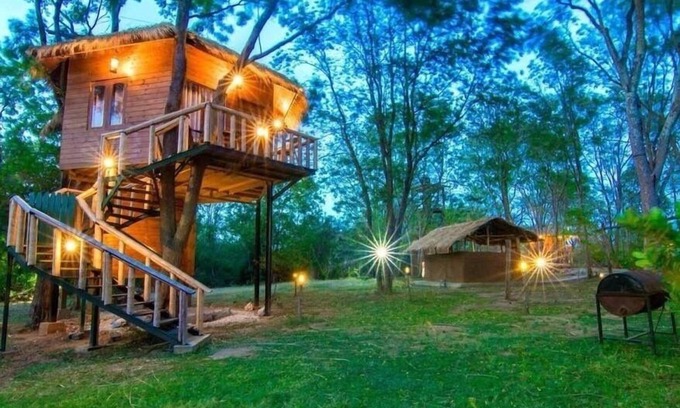 Hambegamuwa Cabin | La Pentera