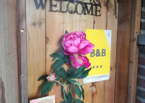 Overpelt Bed & Breakfast | La Rose
