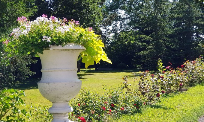 Sentheim Bed & Breakfast | La Roseraie