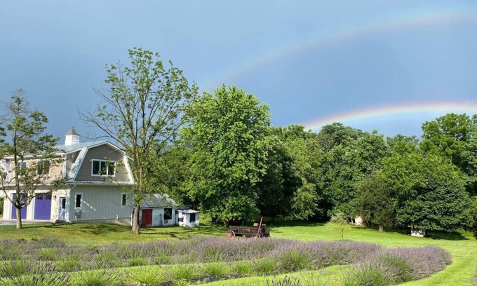 Harpers Ferry Other | La Soledad Lavender Farm on the Potomac