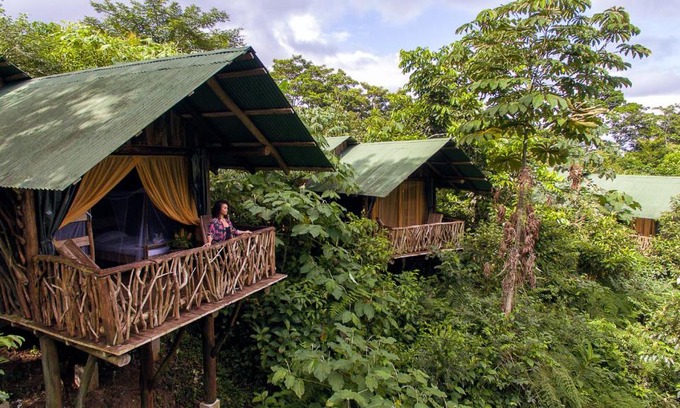 La Tigra Cabin | La Tigra Rainforest Lodge