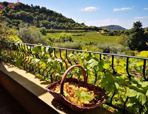 Magomadas House | La Tinaia Country House