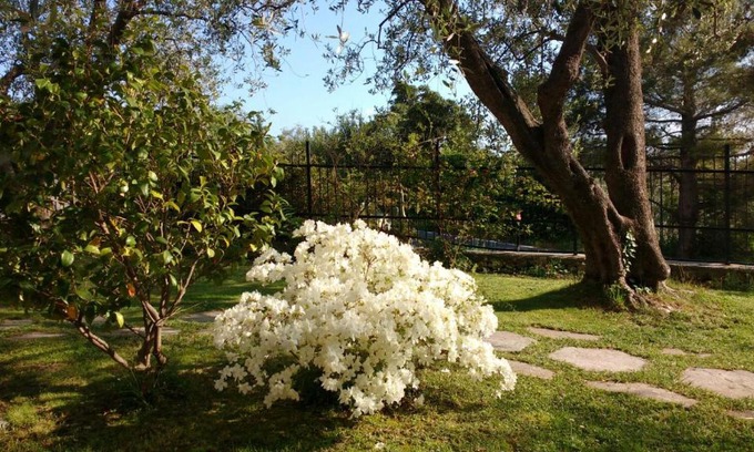Finale Ligure Bed & Breakfast | La vie est belle