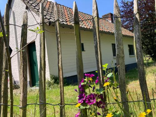 Putte House | Lafontaine