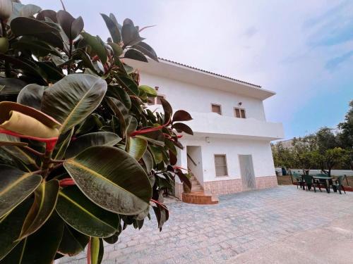 Foce Varano House | lagoAmare