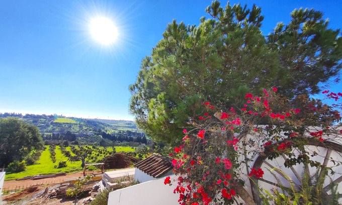 Funchal Apartment | LAGOS HIGH POINT NATURE 1 by HOMING