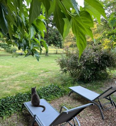 Seignosse Bed & Breakfast | Laguillotte