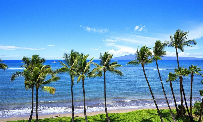 Historic Lahaina Front Street Apartment | Lahaina Shores 533: Romantic Oceanfront Studio
