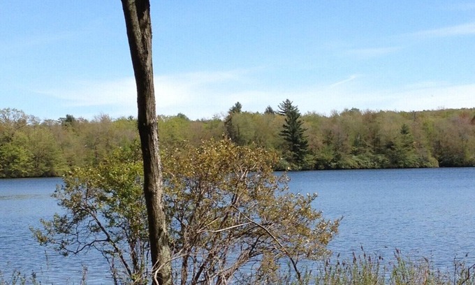 Lake Harmony Condo | Lake front/pool/boating & Big Boulder Ski Resort located in gated community
