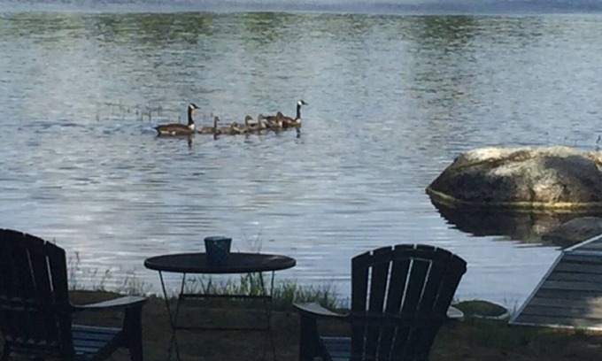Ellsworth House | Lake Life Lodge- enjoy Maine Lakefront Luxury on Branch Lake! n