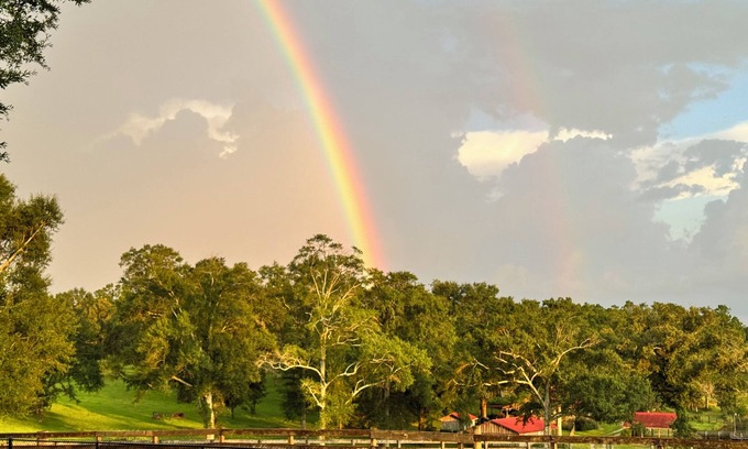 Lucedale Cabin | Lakefront country cabin near Lucedale n, MS