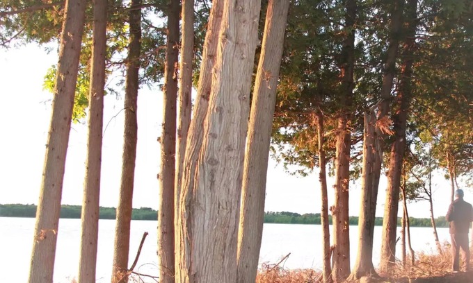 South Bruce Peninsula House | Lakeview campsite G