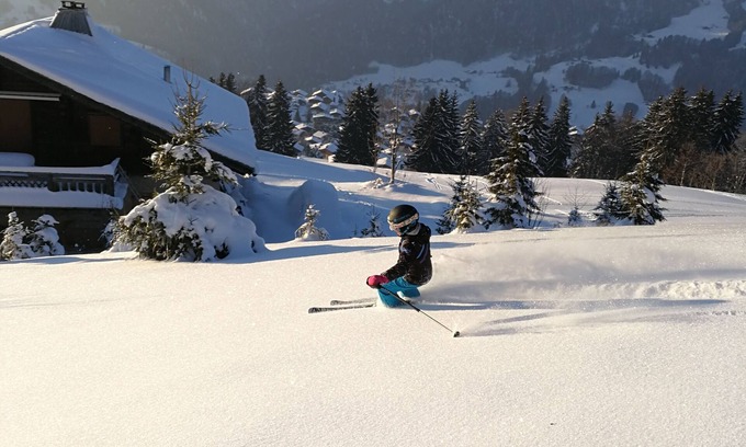 Crest-Voland Ski Chalet | LARGE CHALET 170 M², 5 hectares of land CREST VOLAND SAVOIE