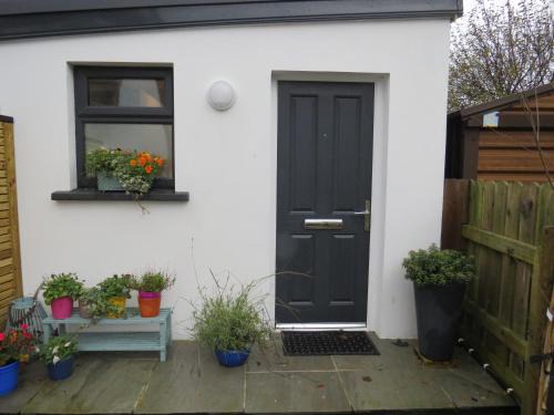 Tuam Apartment | Lavender Mews