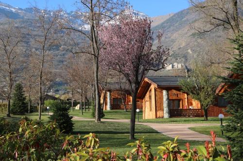 Quart Other | Lazy Bee Camping Village