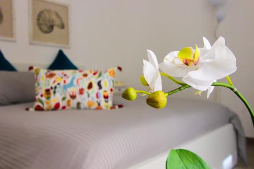Monte di Pieta Apartment | Le Casette di Marcì