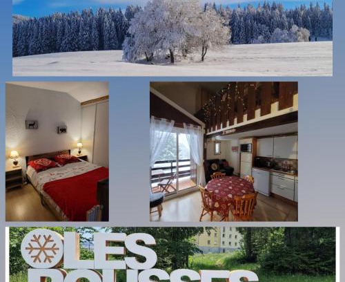 Les Rousses Apartment | LE CHALET DES SAPINS, Superbe Duplex avec belle vue, Au Coeur Des Rousses, Tout confort 5 pers, Draps inclus, parking gratuit