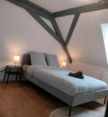 Wasselonne Apartment | Le Charme du Bois-25min Strasbourg centre-WiFi-TV