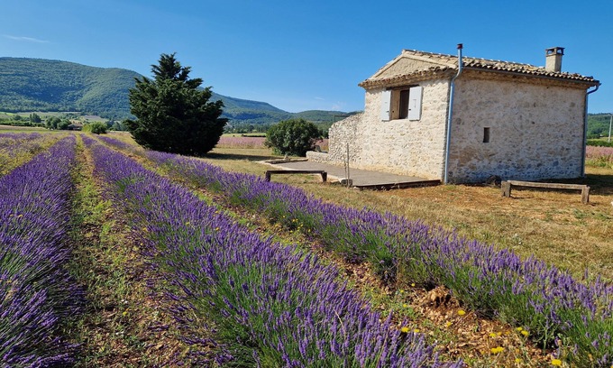 Sault House | Le Grangeon des Hermas an exceptional, peaceful spot on the Sault plain