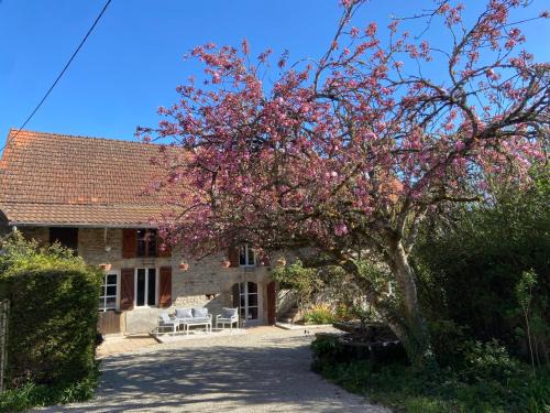Morlet House | Le Haut des Lariers Gîte