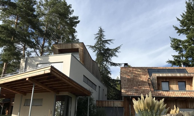 Osenbach House | Le Holzberg (8 to 10 pers) - Wellness, sauna and nature 20min from Colmar