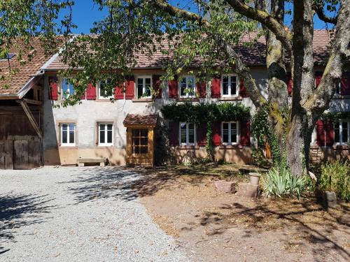 Rougegoutte Bed & Breakfast | Le jardin des gouttes