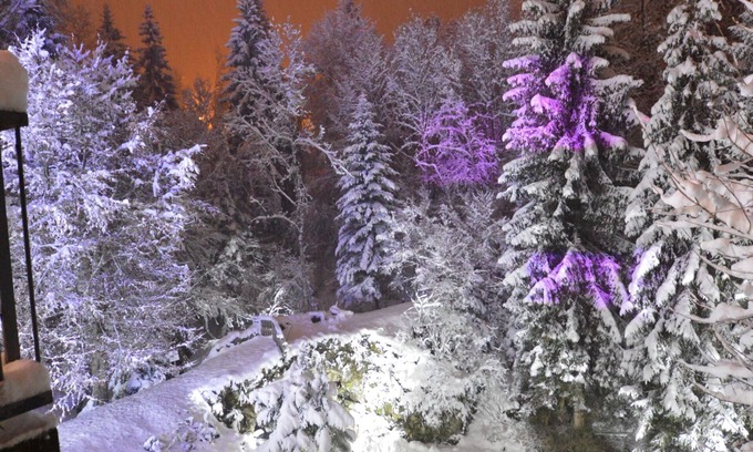 Sallanches Ski Chalet | Le Moulin des Olirics