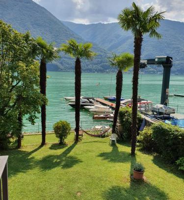 Cima House | Le palme Antonella