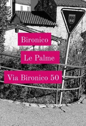 Monteceneri House | Le palme