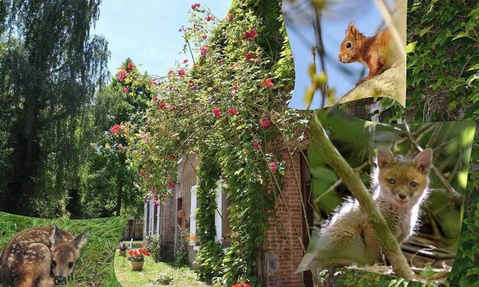 Saint-Maclou-de-Folleville House | Le Refuge - VARNEVILLE BRETTEVILLE