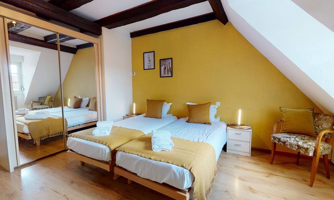 Colmar Centre Ville Apartment | le saphir 1 free parking city center 3br 2bt