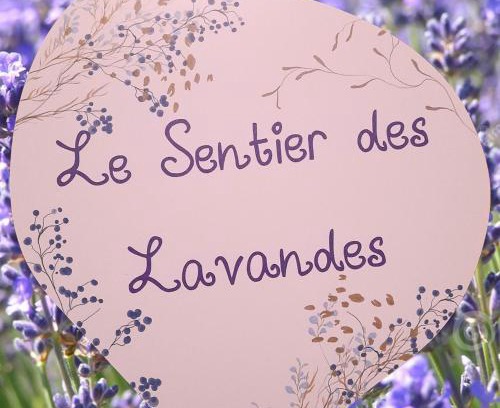 Membre Apartment | Le Sentier des Lavandes