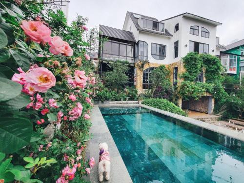 Tam Dao Hotel | Le vent Tam Đảo homestay