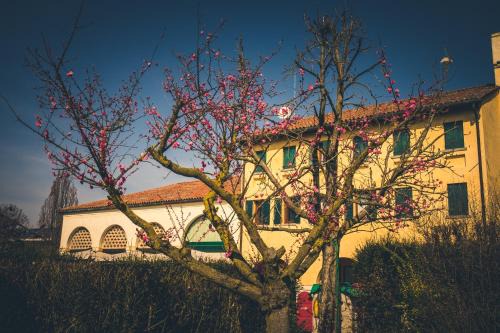 Cessalto House | Le Vigne Morosina