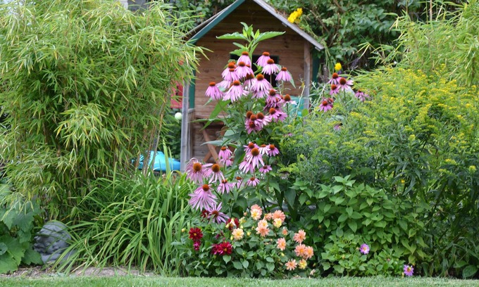 Lavannes House | Les Célestines