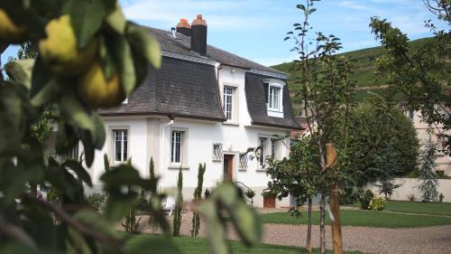 Soultzmatt House | les charmes de la vallée noble