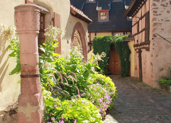 Riquewihr Apartment | Les Gîtes Coeur de Vigne