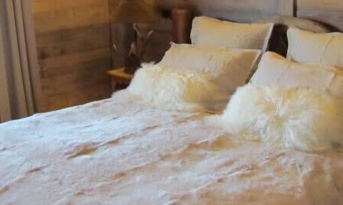 Le Planellet Ski Chalet | Les Roches Blanches S