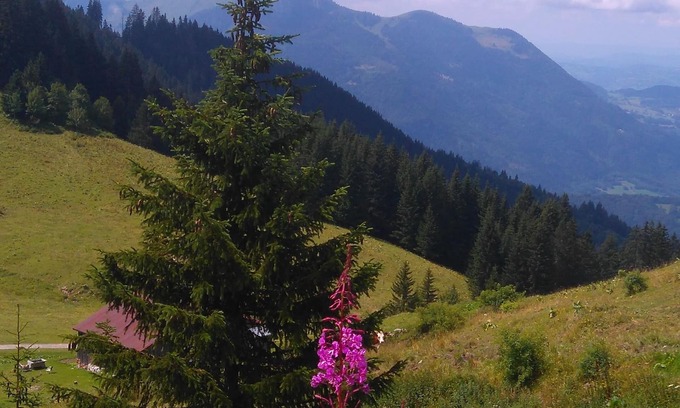 Le Praz de Lys Apartment | LES TERRASSES du MONT BLANC - 2 rooms - 6 sleepings