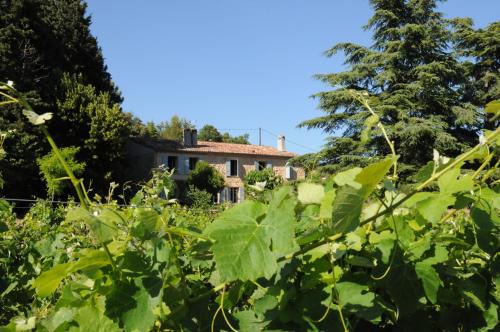 Entrecasteaux Apartment | Les Vignes de Terrisse