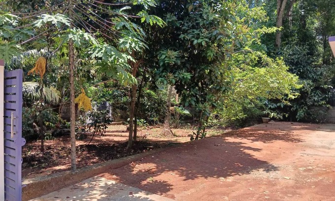 Poovar Villa | LICENCE TO CHILL HOMESTAY VILLA
